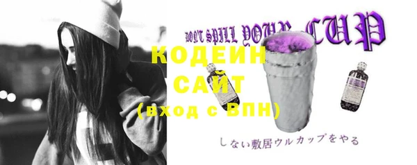 СК Верхний Тагил